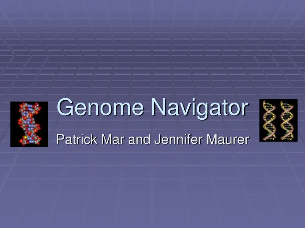 genome navigator n.