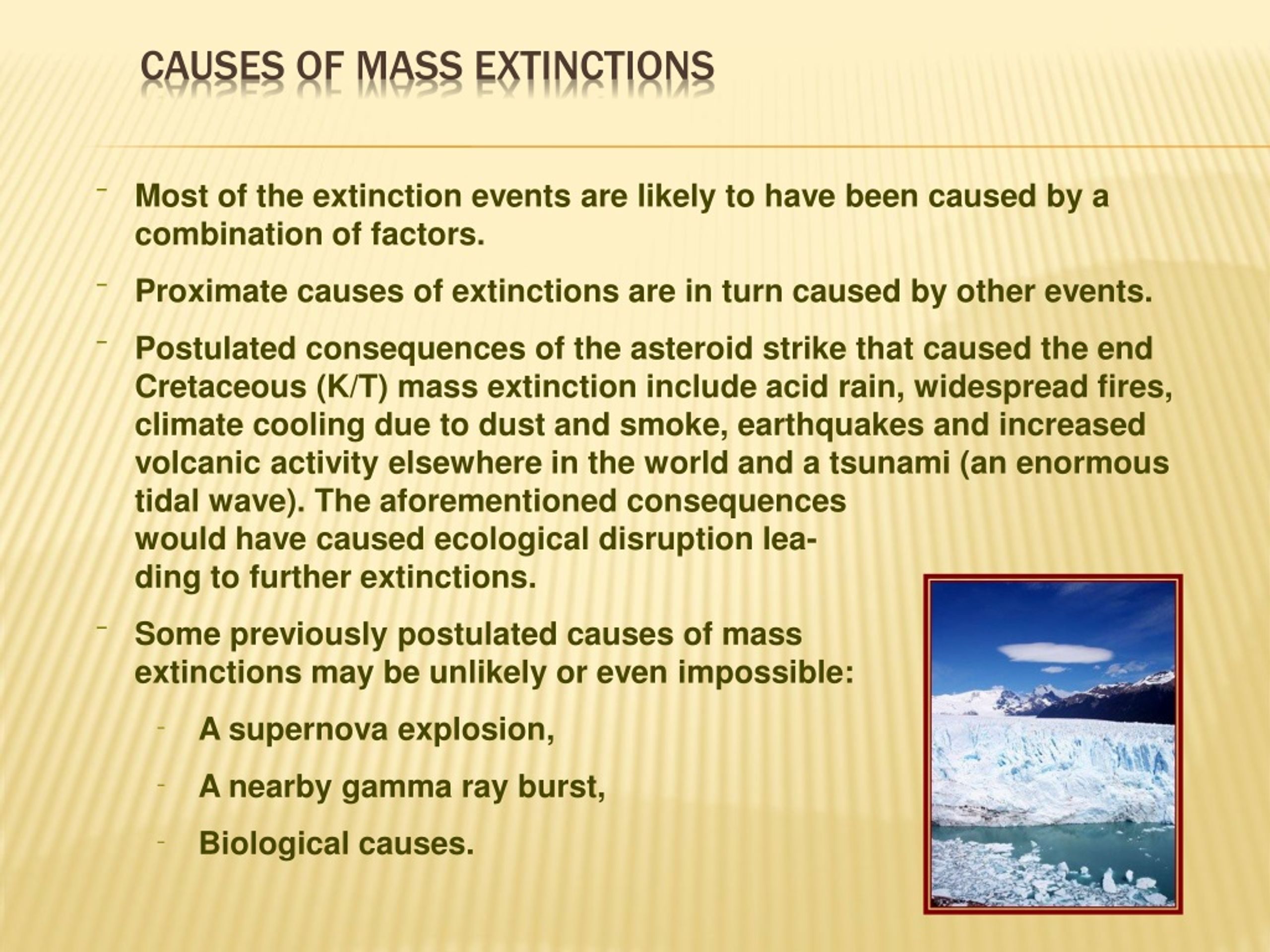 PPT Extinction Past Present Future PowerPoint Presentation Free 