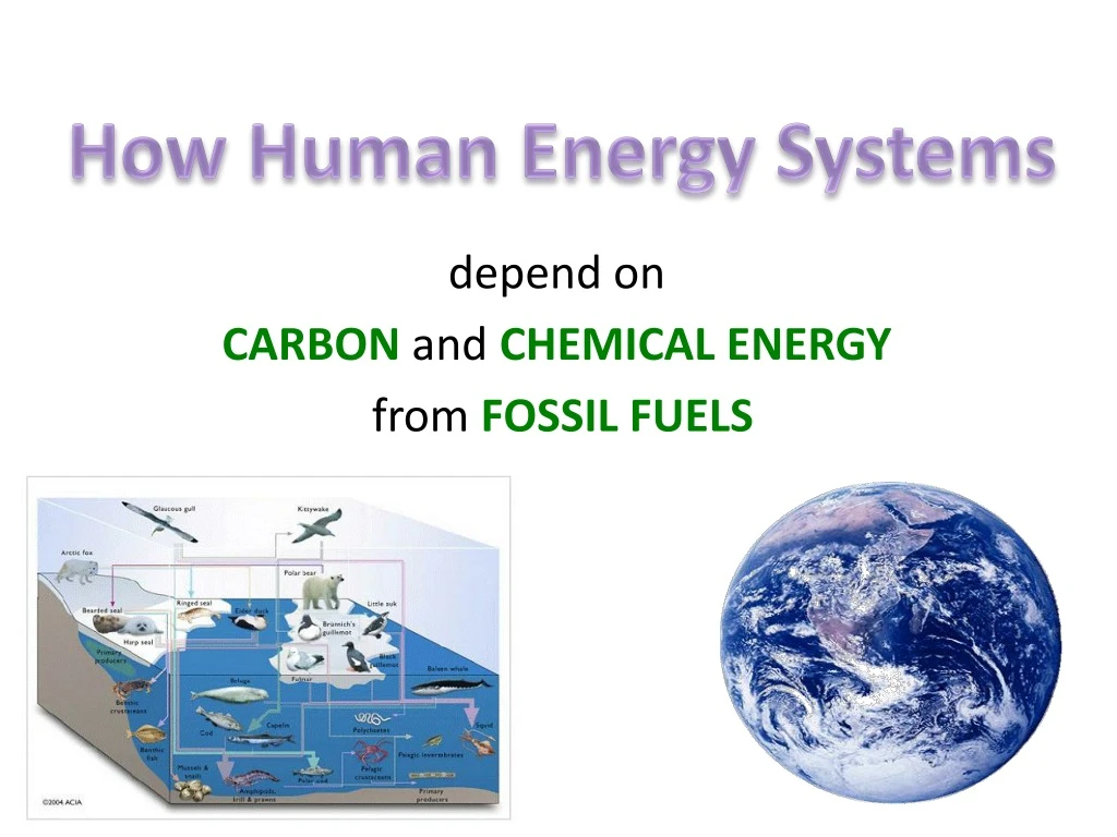 depend on carbon and chemical energy from fossil fuels n.