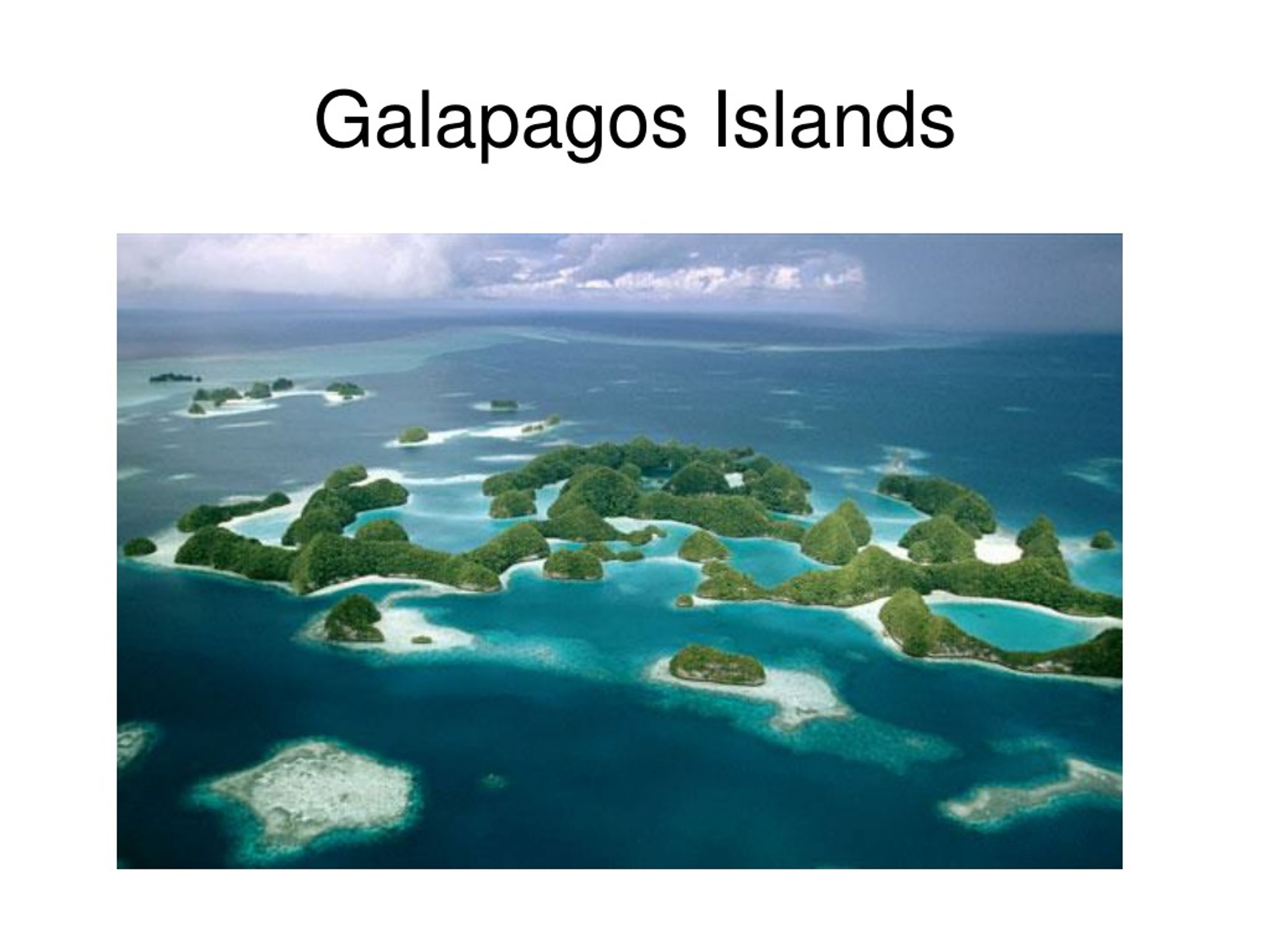 Группа островов в западной части тихого океана. Эквадор Галапагосские острова. Национальный парк Галапагосских островов, Эквадор. Архипелаг Палау. 2. Галапагосские острова (Эквадор).