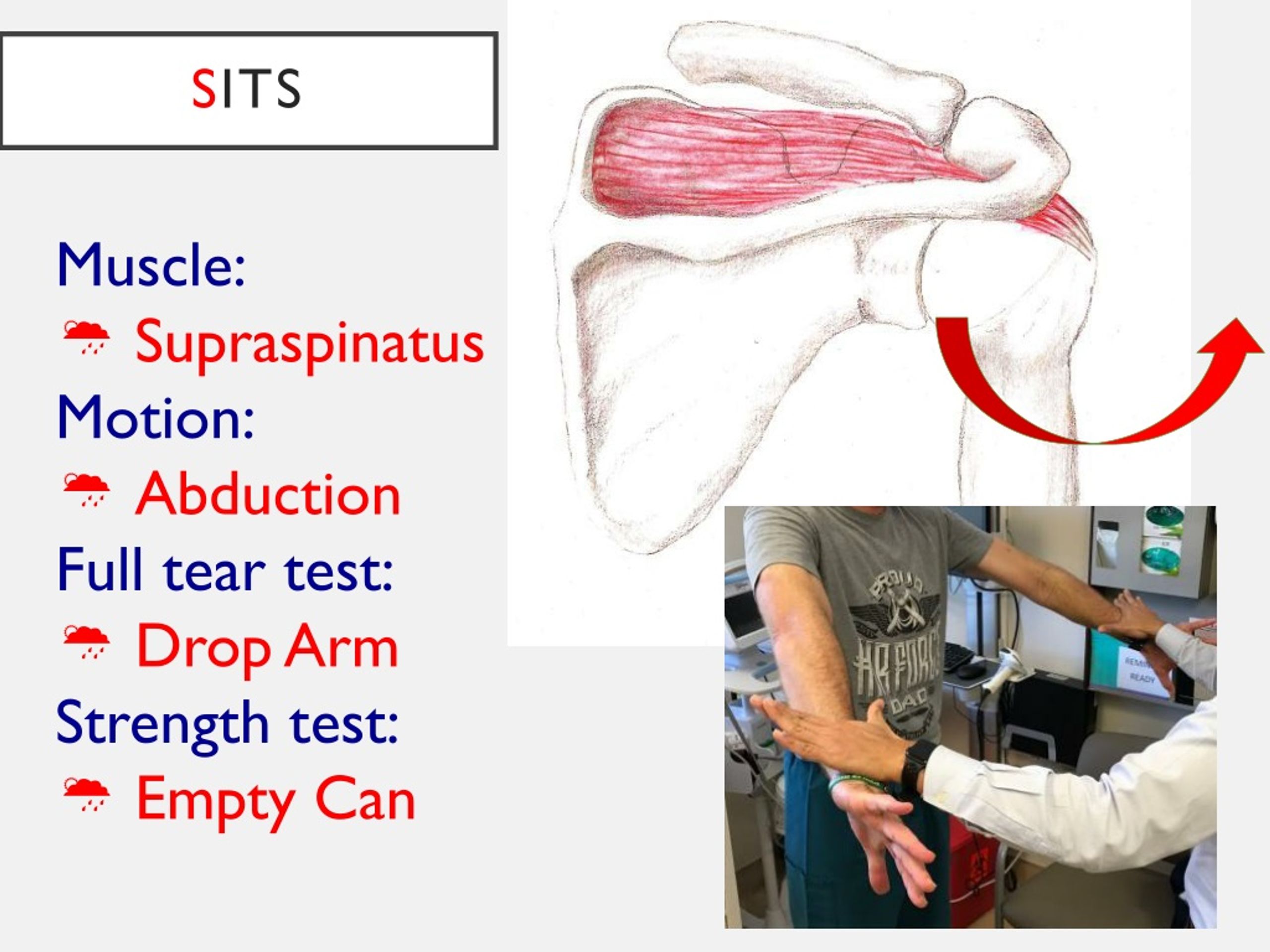 PPT The Diagnosis driven Physical Examination Of The Shoulder PPT The Diagnosis driven Physical Examination Of The Shoulder