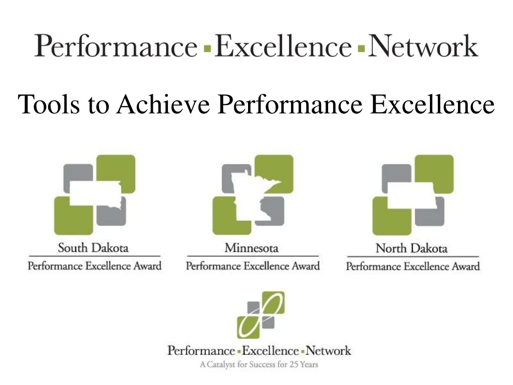 tools to achieve performance excellence n.