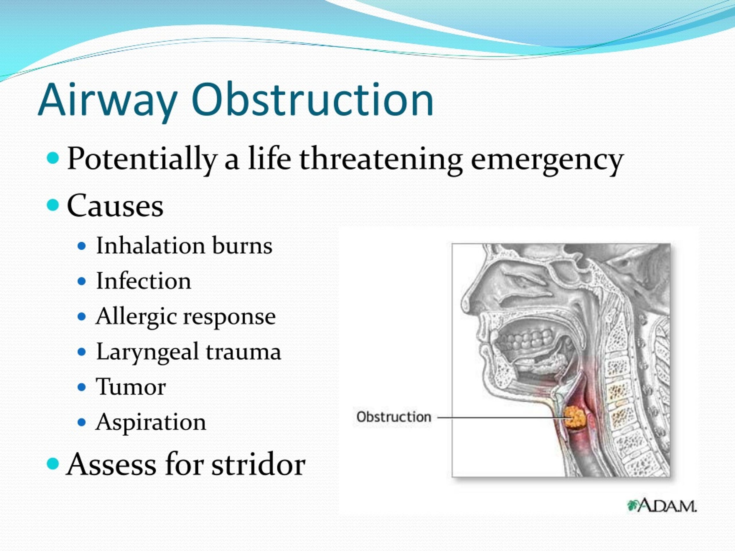 PPT Respiratory PowerPoint Presentation Free Download ID 631591 PPT Respiratory PowerPoint Presentation Free Download ID 631591