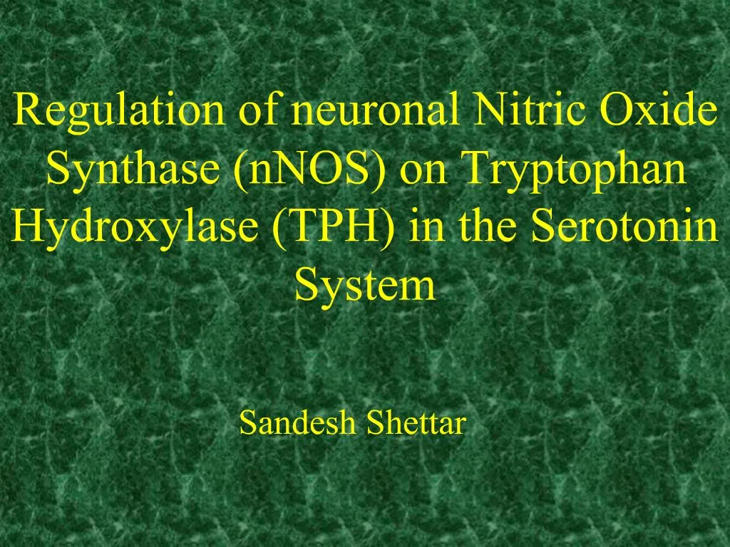 PPT Regulation of neuronal Nitric Oxide Synthase nNOS on Tryptophan Hydroxylase TPH in the