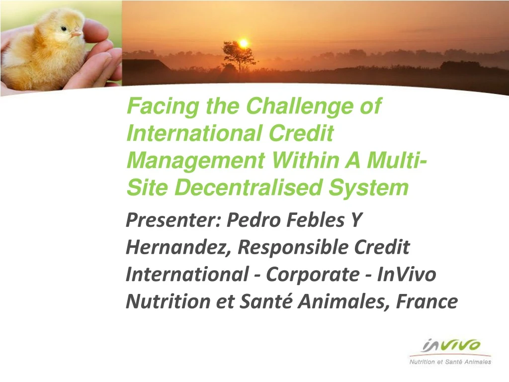 facing the challenge of international credit management within a multi site decentralised system n.