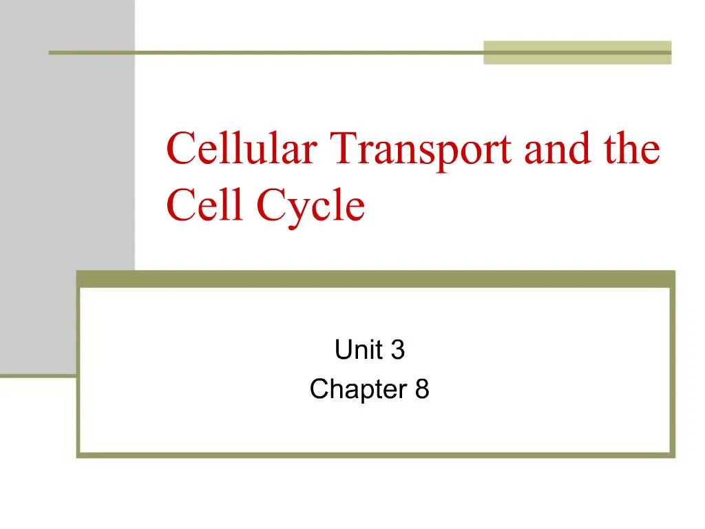 PPT - Cellular Transport And The Cell Cycle PowerPoint Presentation ...