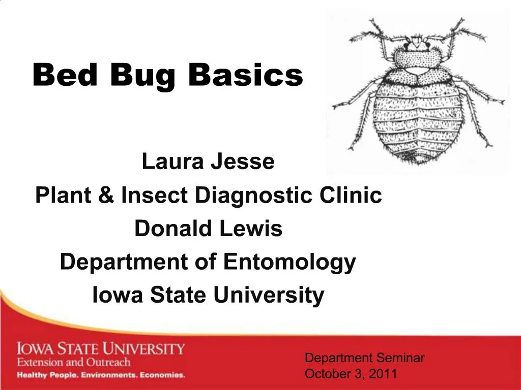 PPT - Bed Bug Basics PowerPoint Presentation, Free Download - ID:640679