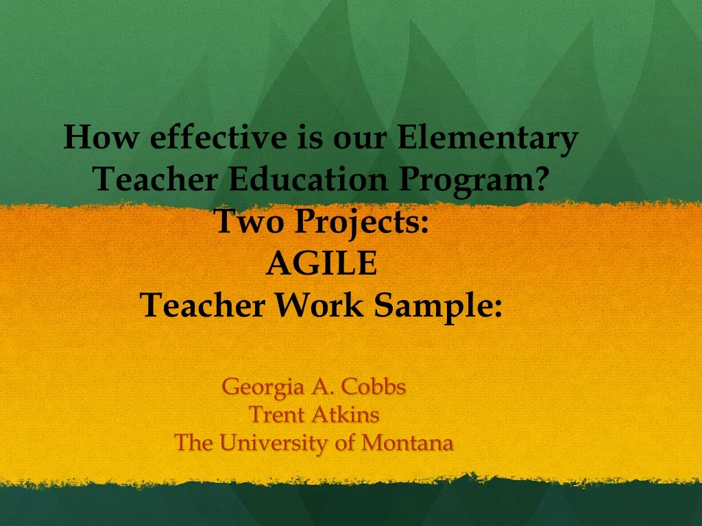 how effective is our elementary teacher education program two projects agile teacher work sample n.