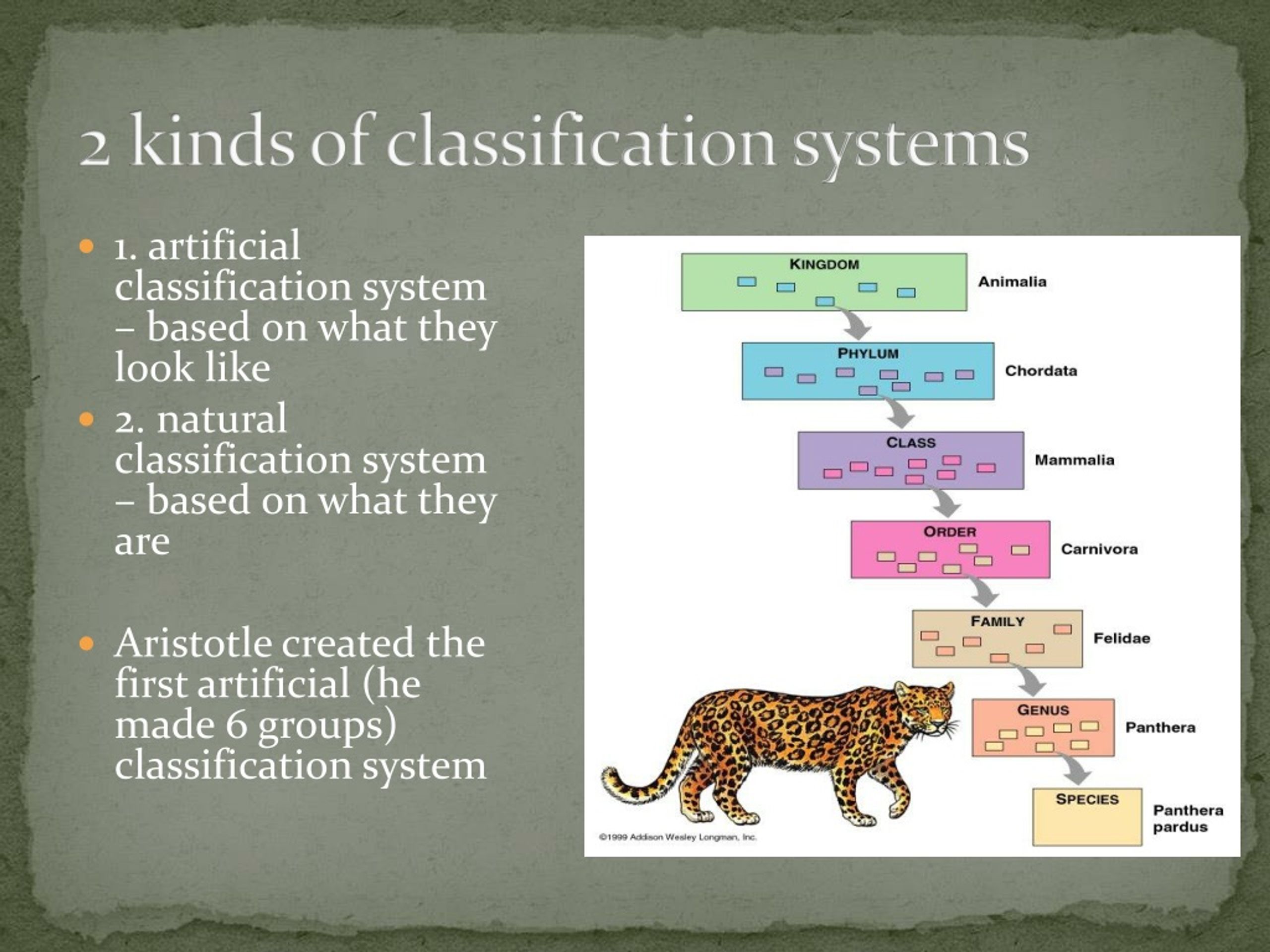 PPT Biology B PowerPoint Presentation, free download ID661519