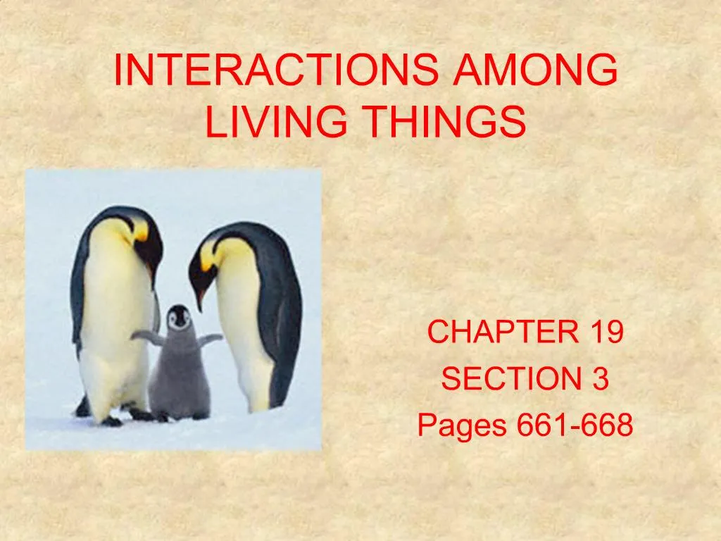 interactions among living things