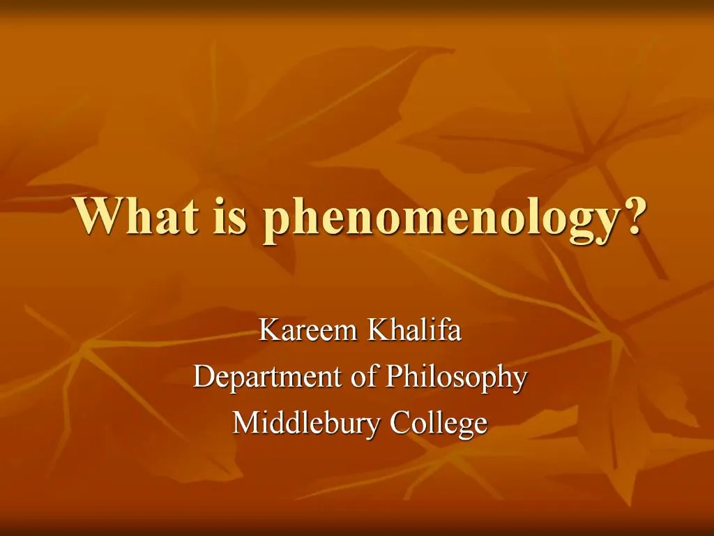 PPT - What is phenomenology PowerPoint Presentation, free download - ID ...