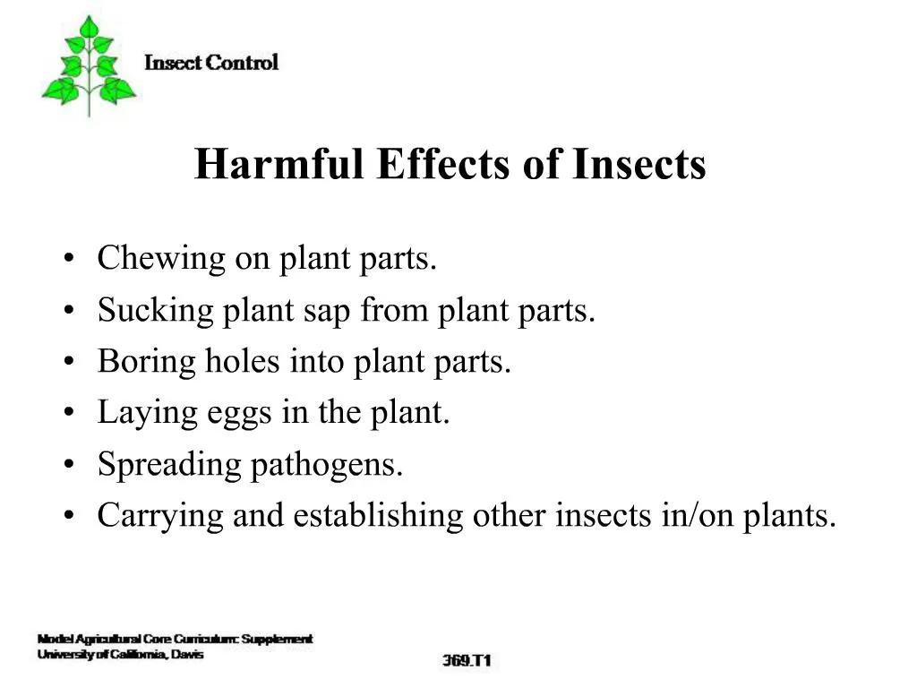 ppt-harmful-effects-of-insects-powerpoint-presentation-free-download