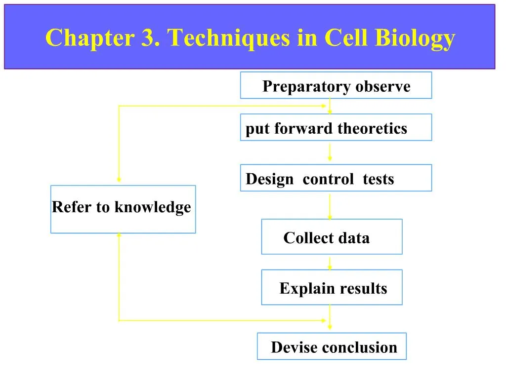 five examples of research projects in cell biology