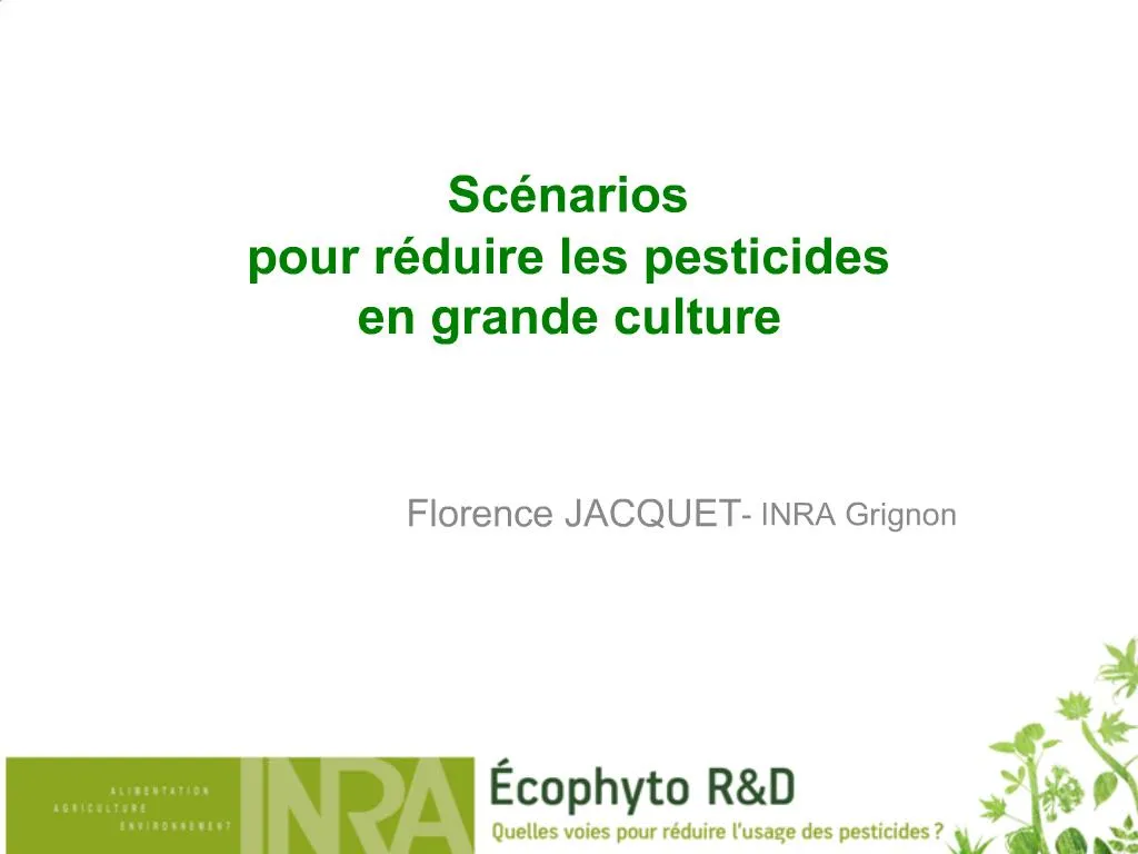 PPT Sc Narios Pour R Duire Les Pesticides En Grande Culture 