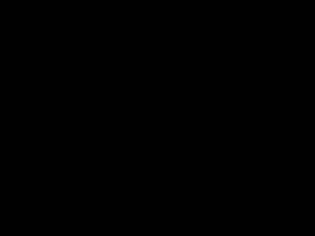 slide1 n.