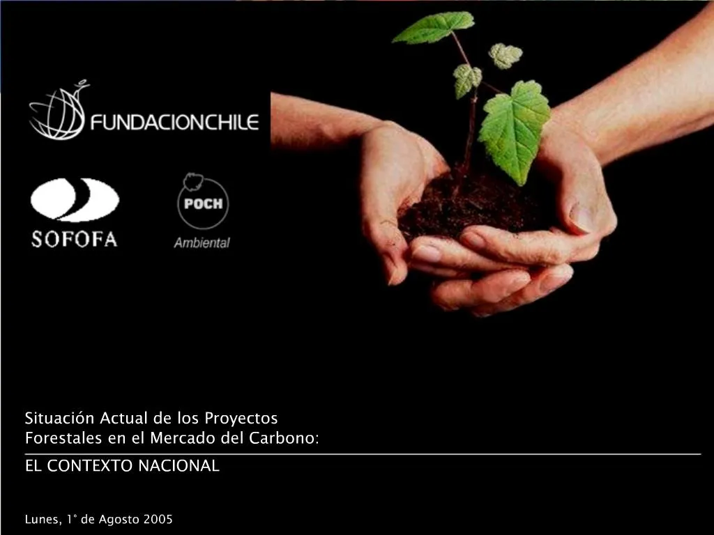 PPT - PROYECTOS FORESTACI N Y REFORESTACI N EN CHILE Y EL MUNDO Agosto ...