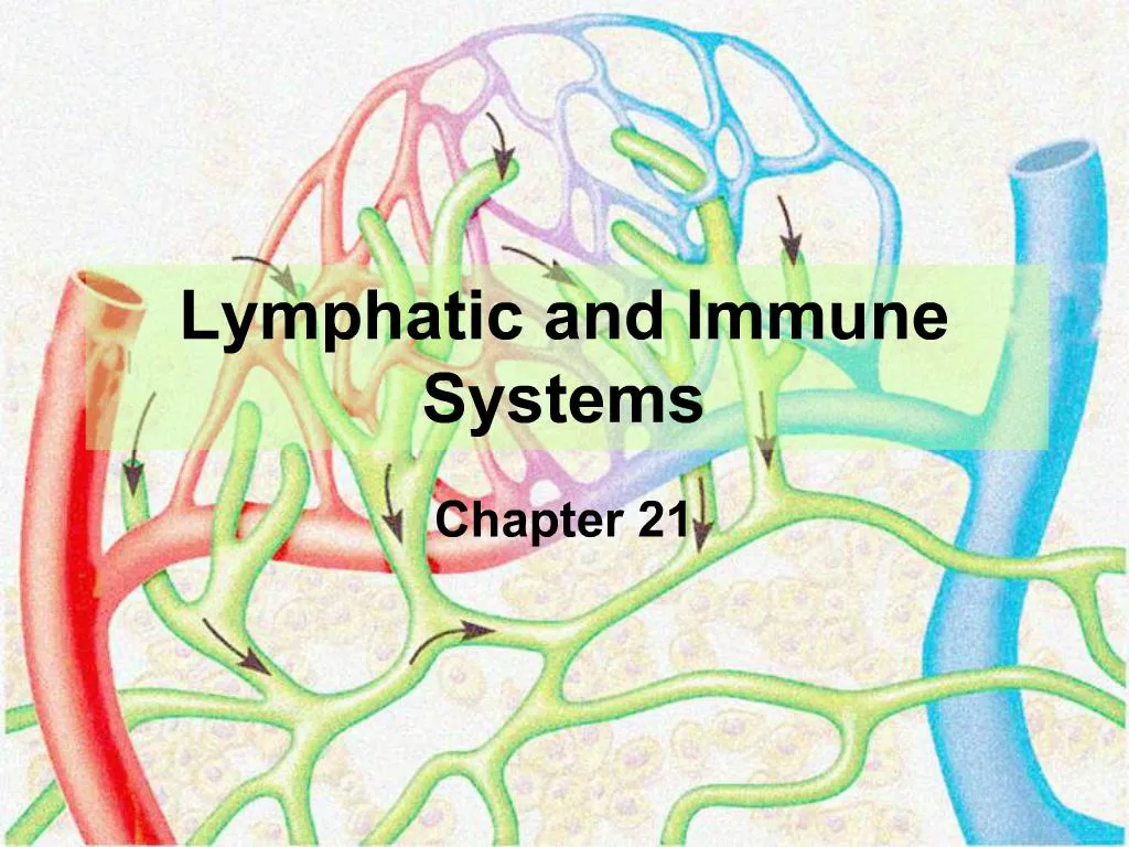 Ppt Lymphatic And Immune Systems Powerpoint Presentation Free