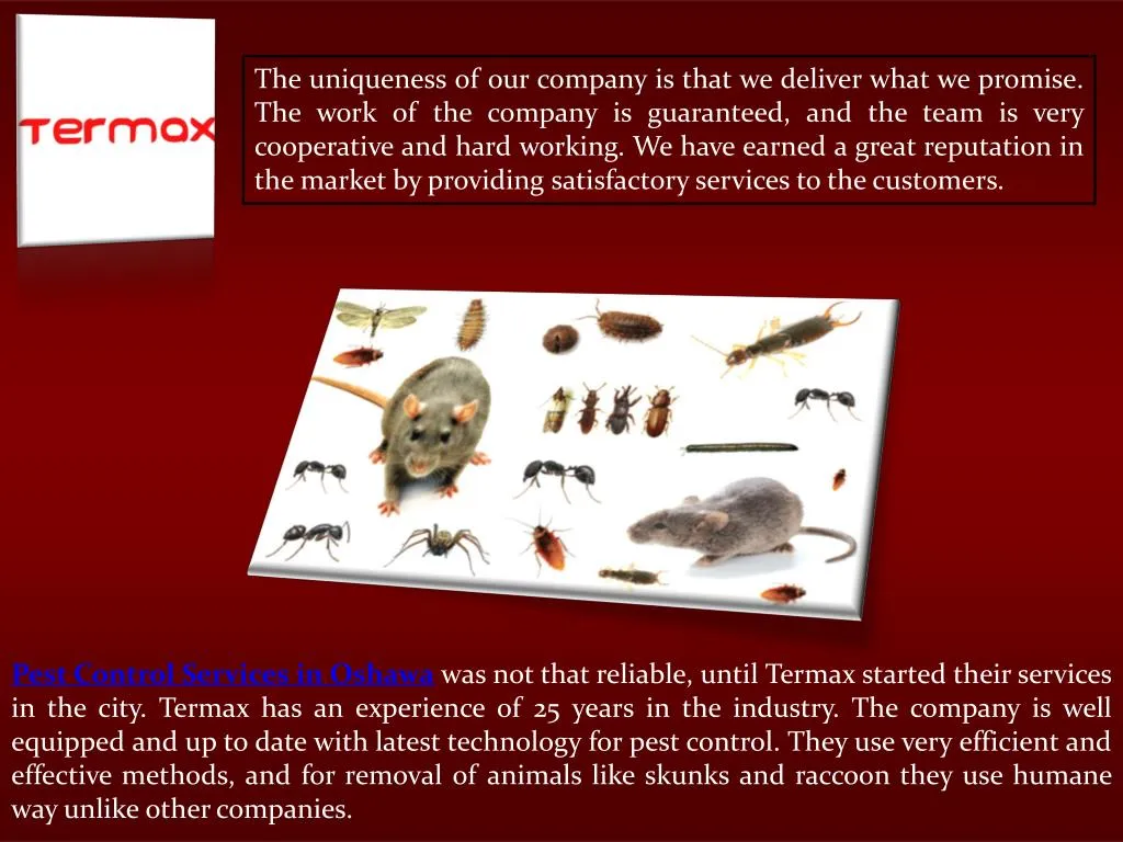 PPT Pest Control Services in Oshawa PowerPoint Presentation, free download ID7127526