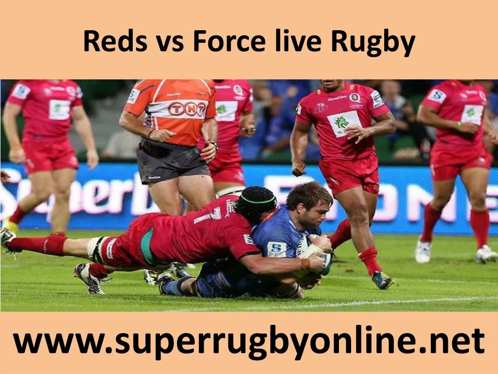reds vs force live rugby n.
