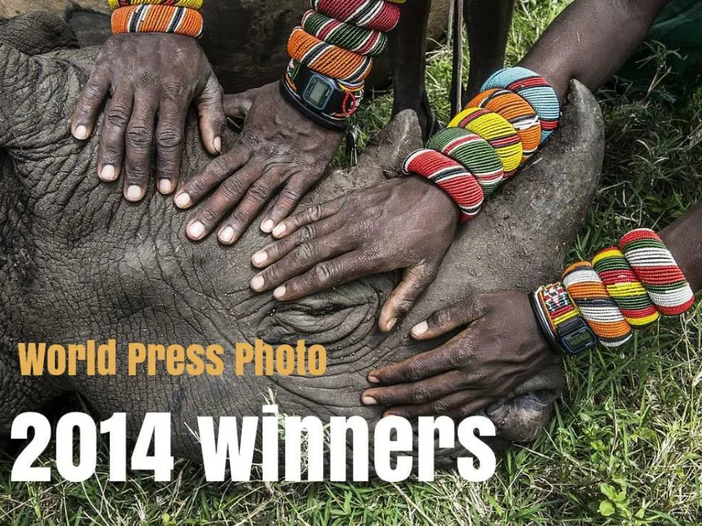 world press photo 2014 winners n.