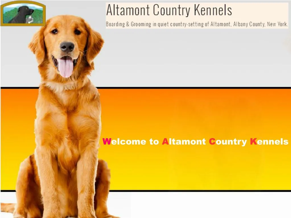 PPT Dog boarding albany PowerPoint Presentation, free download ID