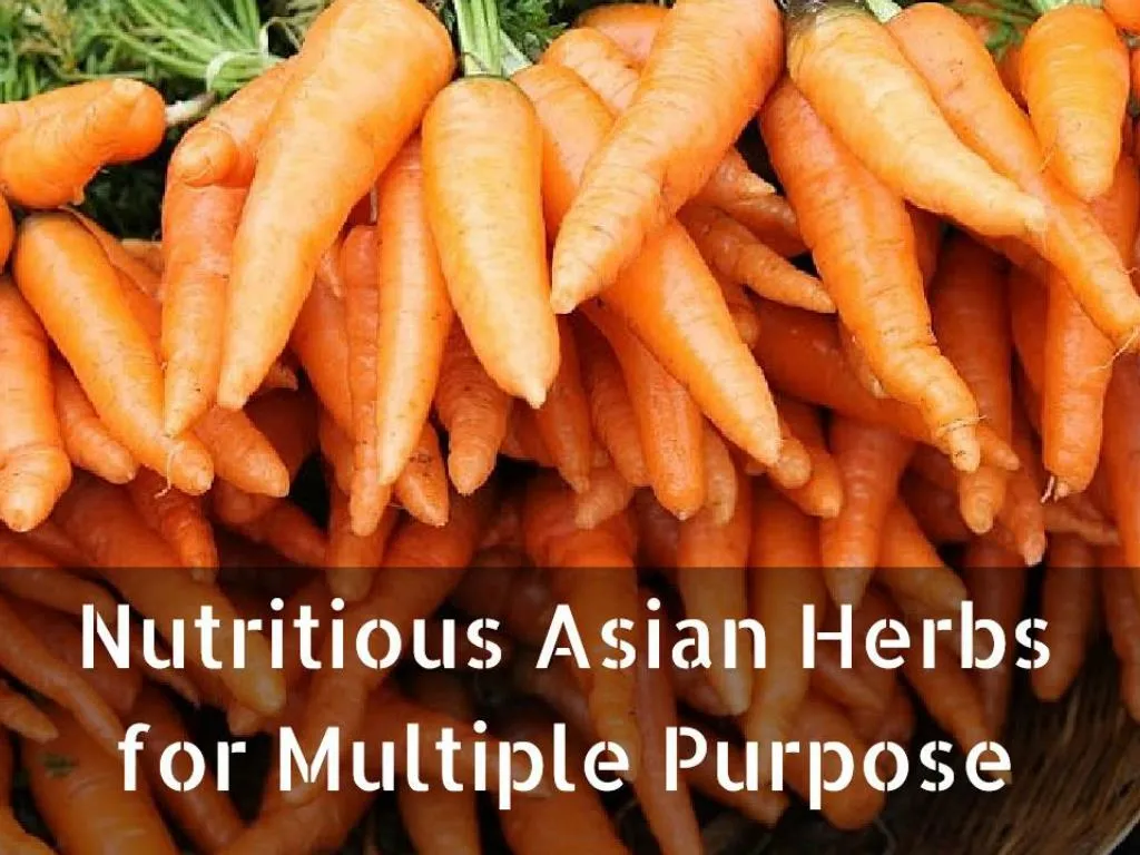 nutritious asian herbs for multiple purpose n.