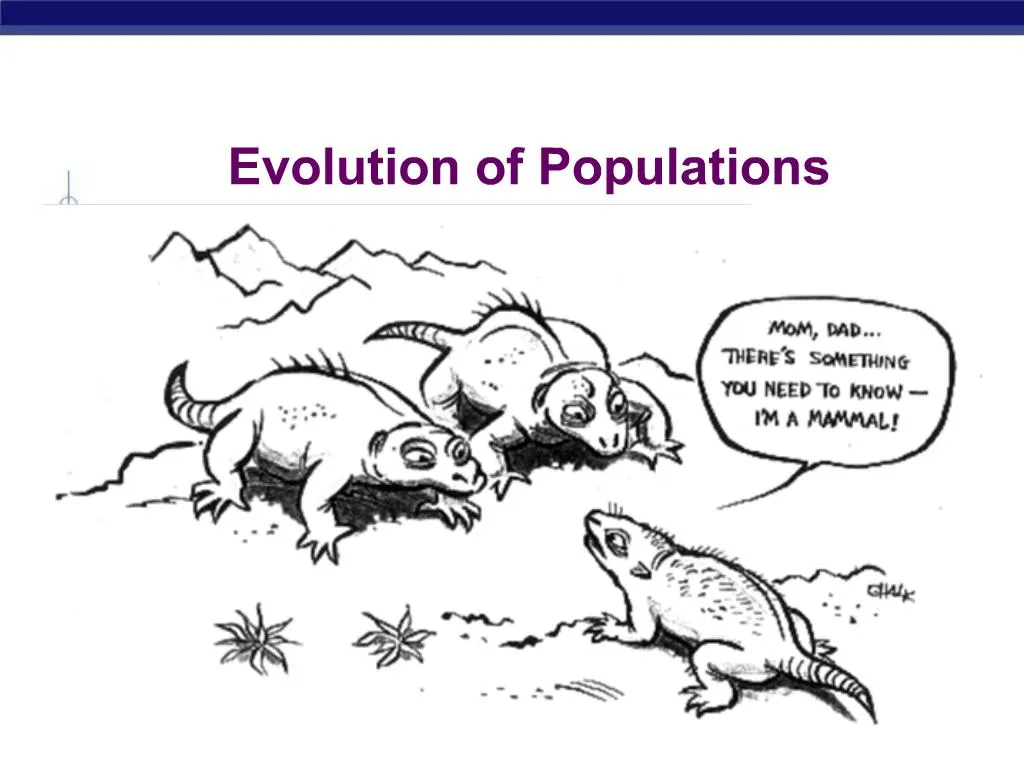 how-populations-evolve