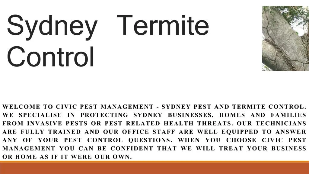 sydney termite control n.