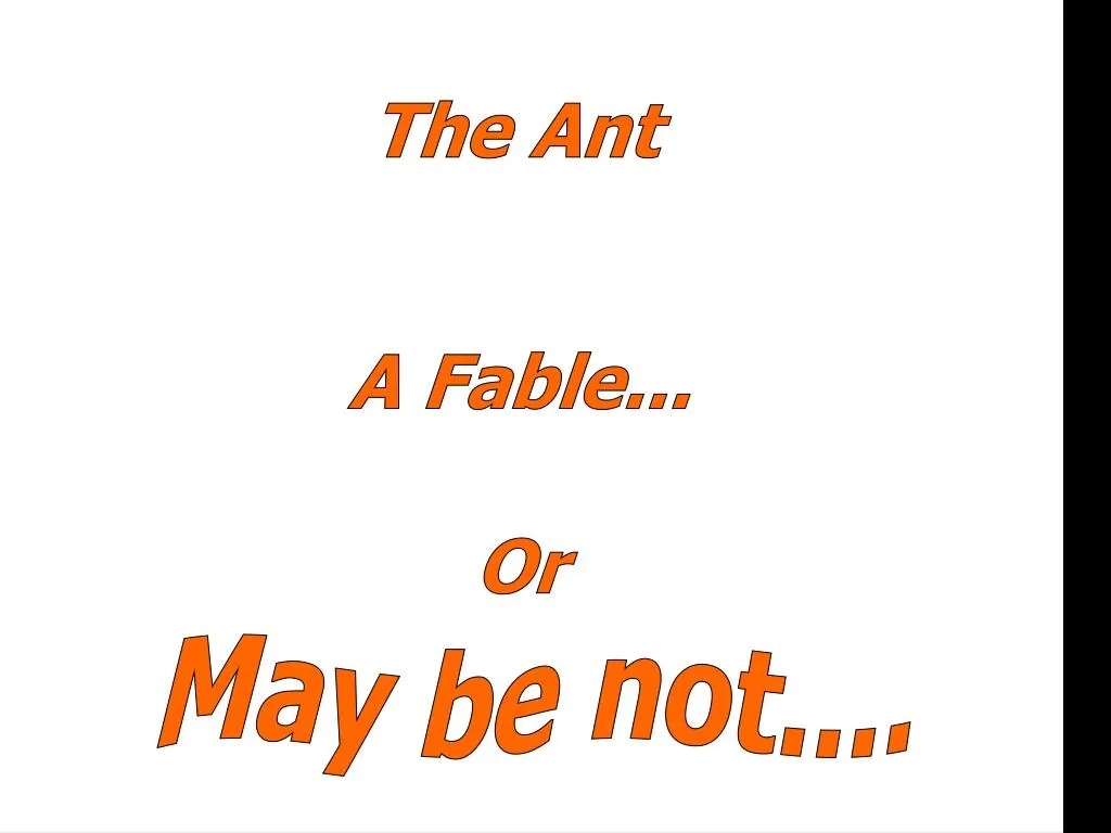 the ant n.