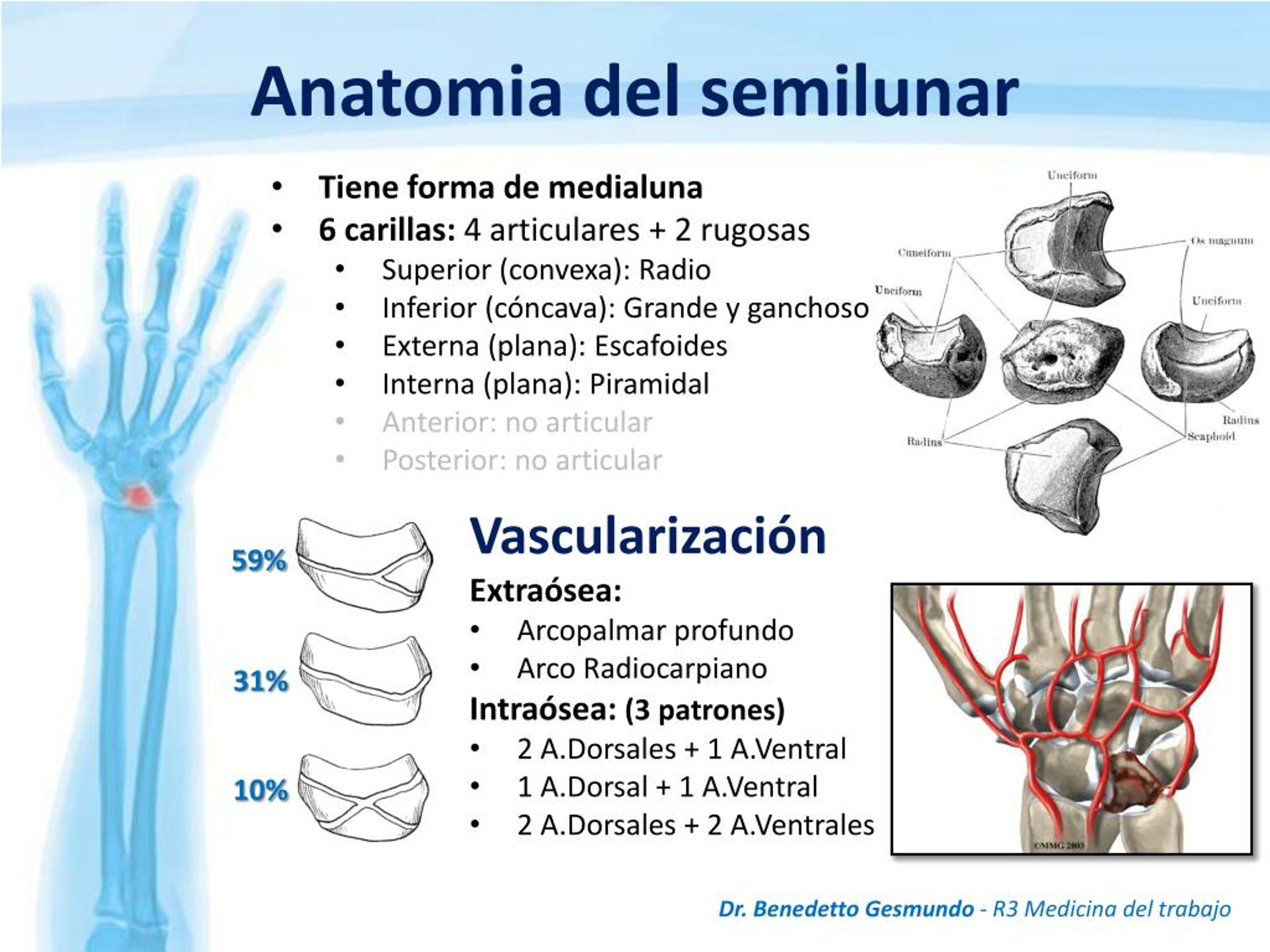 Botemania opiniones