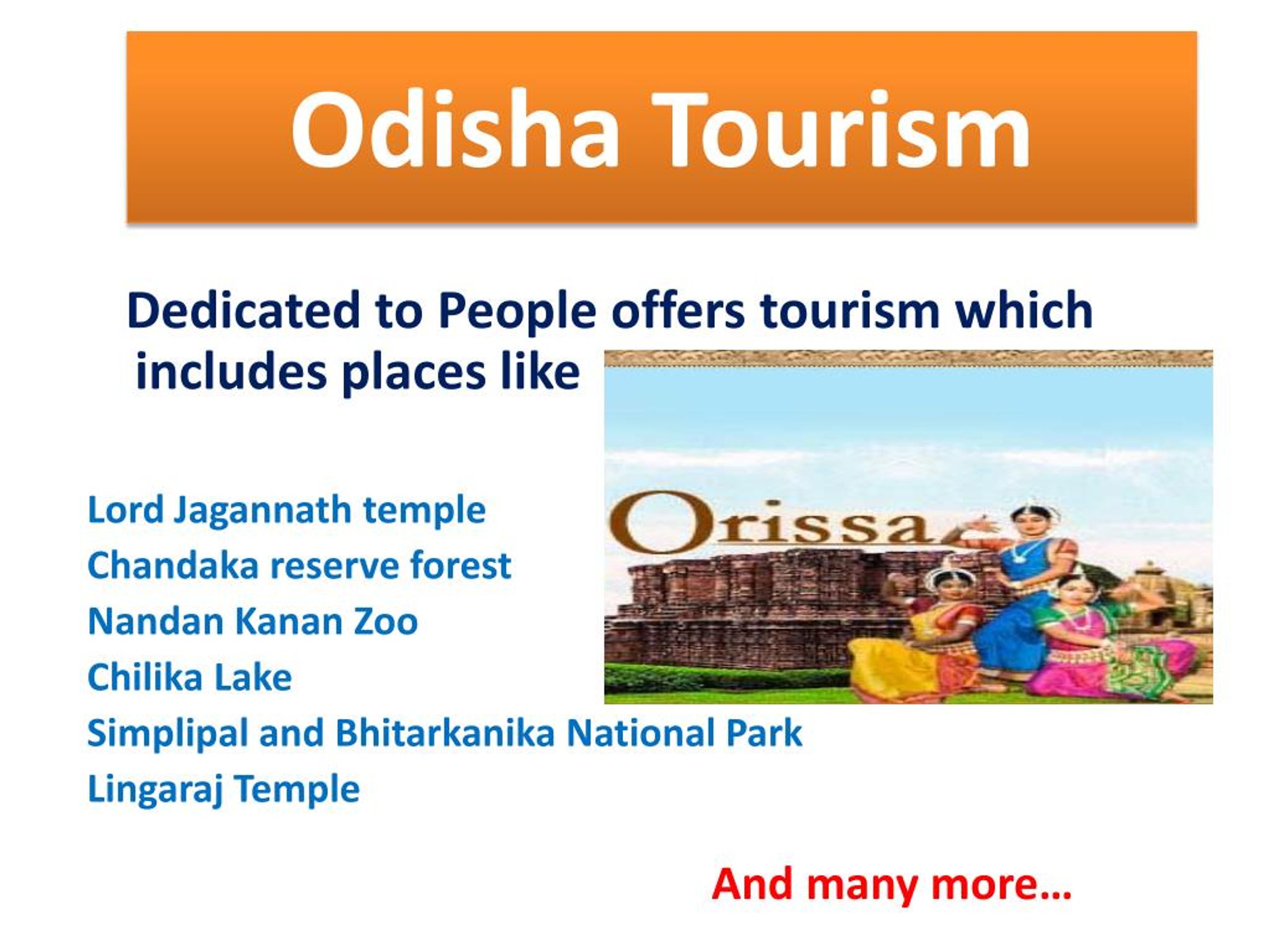 dot odisha tourism gov