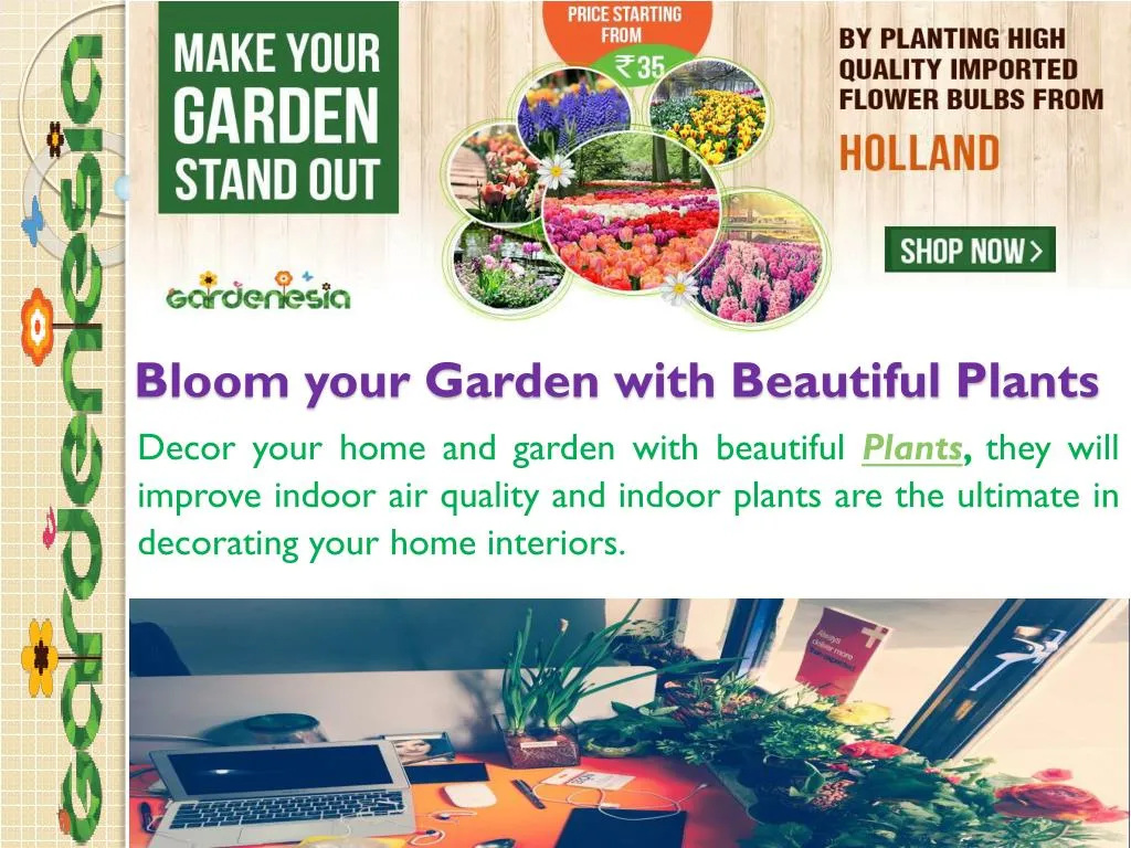 bloom your garden with beautiful plants n.