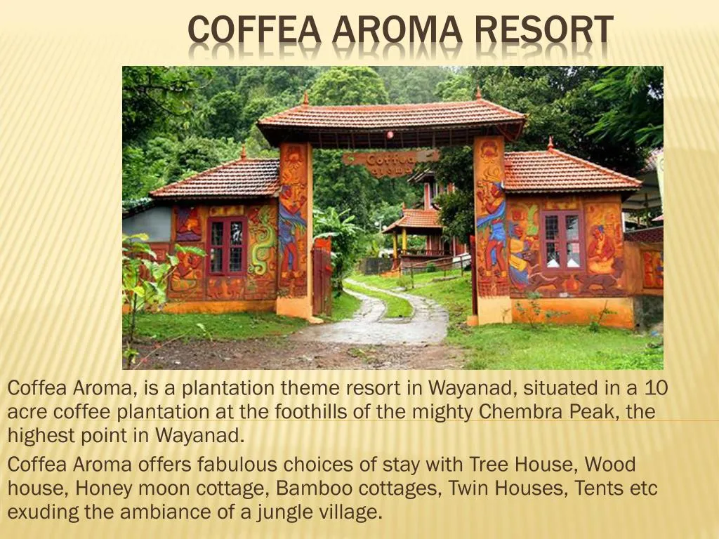 coffea aroma resort n.