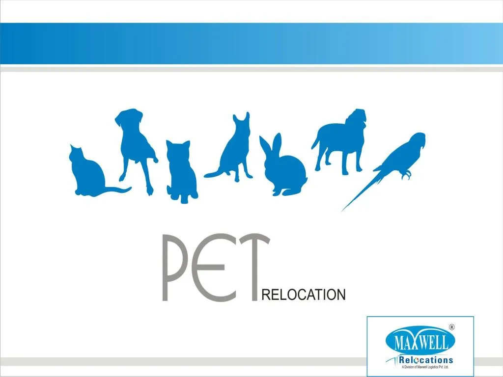 slide1 n.