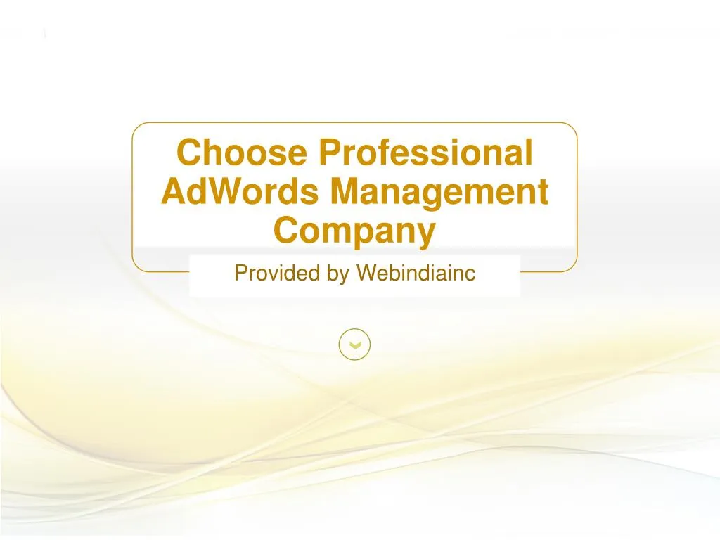 choose professional adwords management company n.