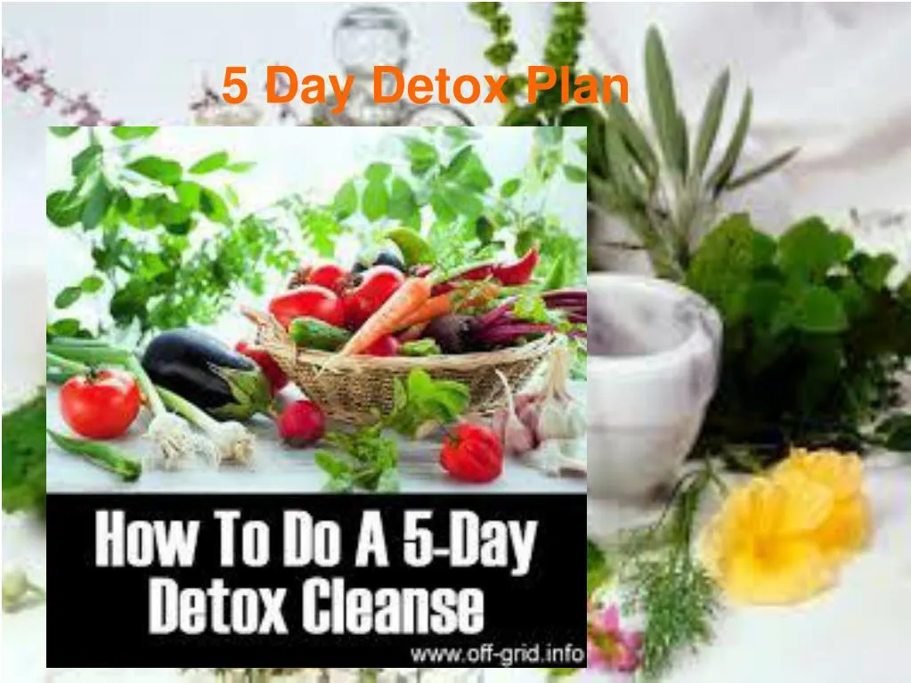 5 day detox plan n.