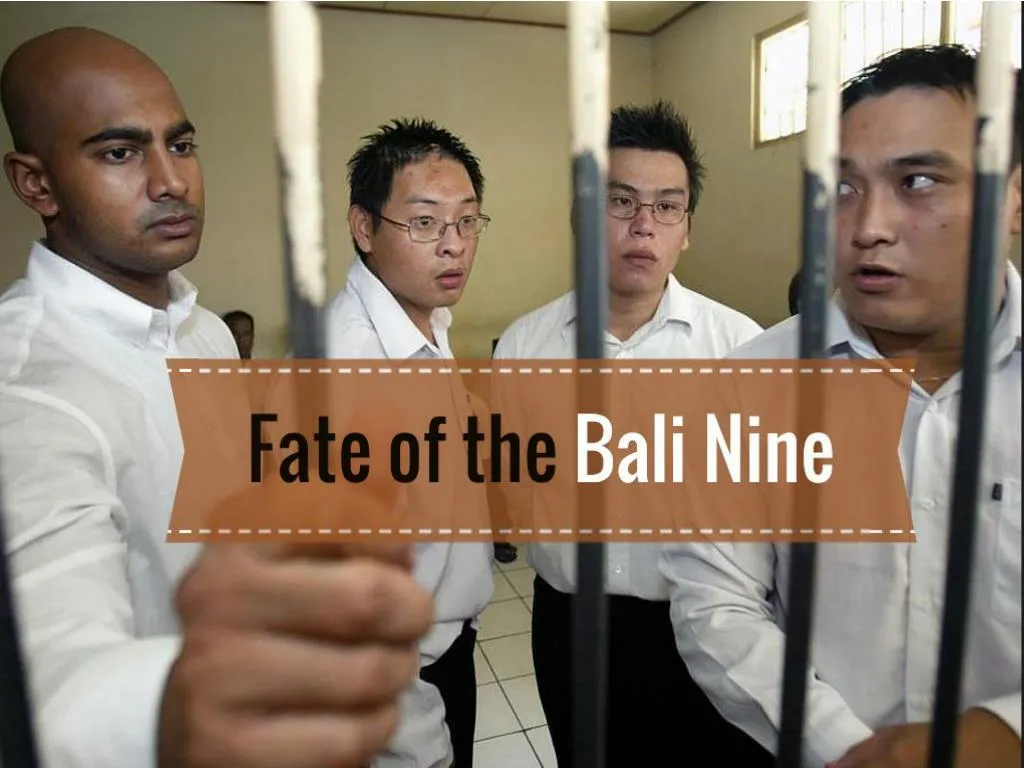 fate of the bali nine n.