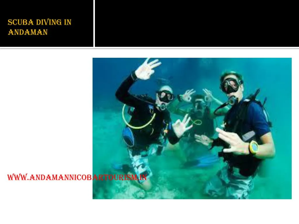 scuba diving in andaman n.