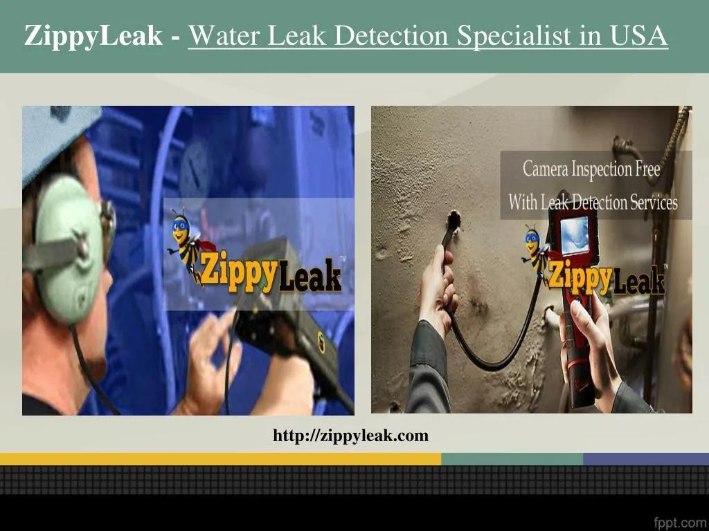 zippyleak water leak detection specialist in usa n.