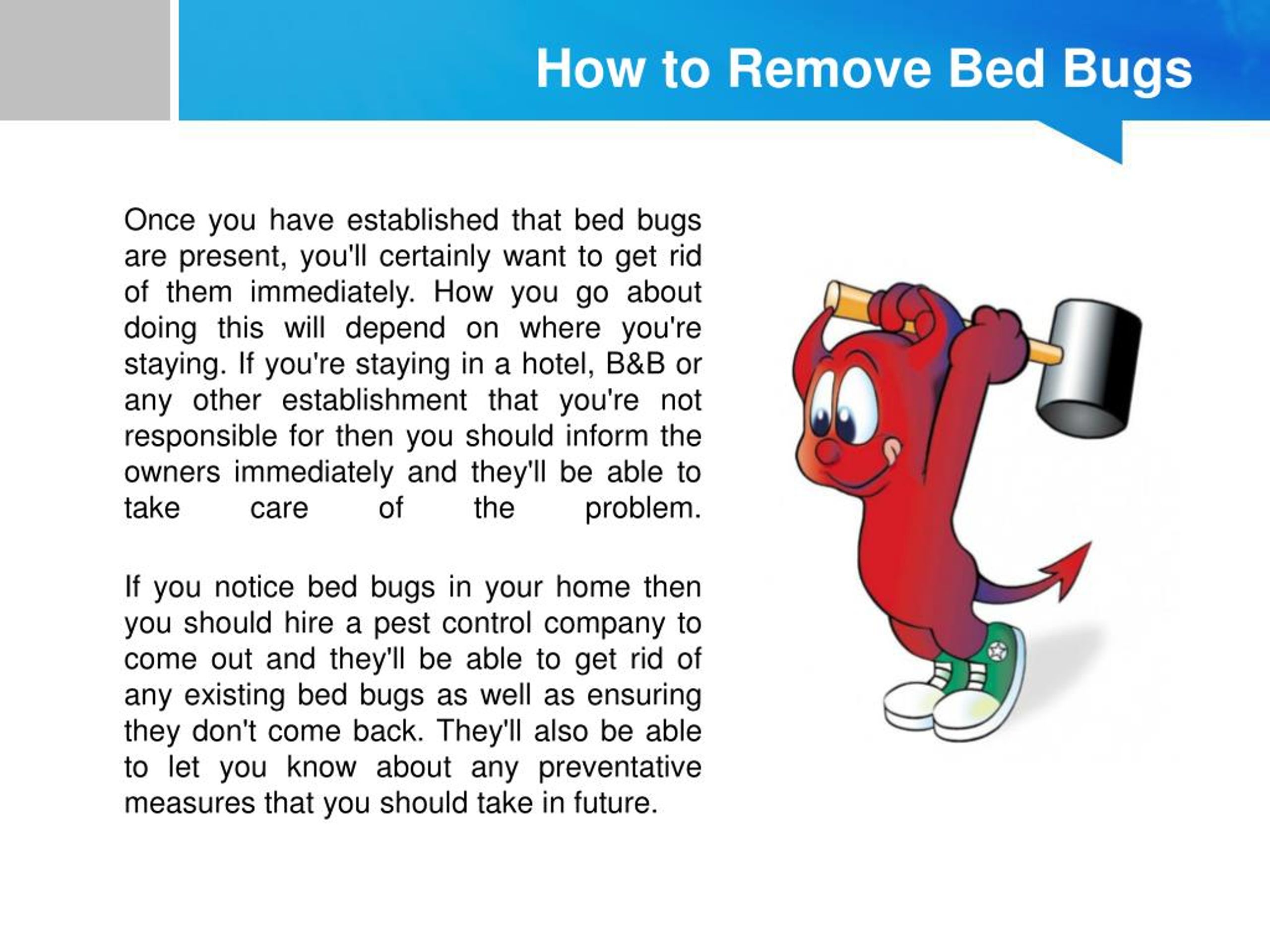 PPT - Find Out Bed Bugs & Removal Guide PowerPoint Presentation, Free ...