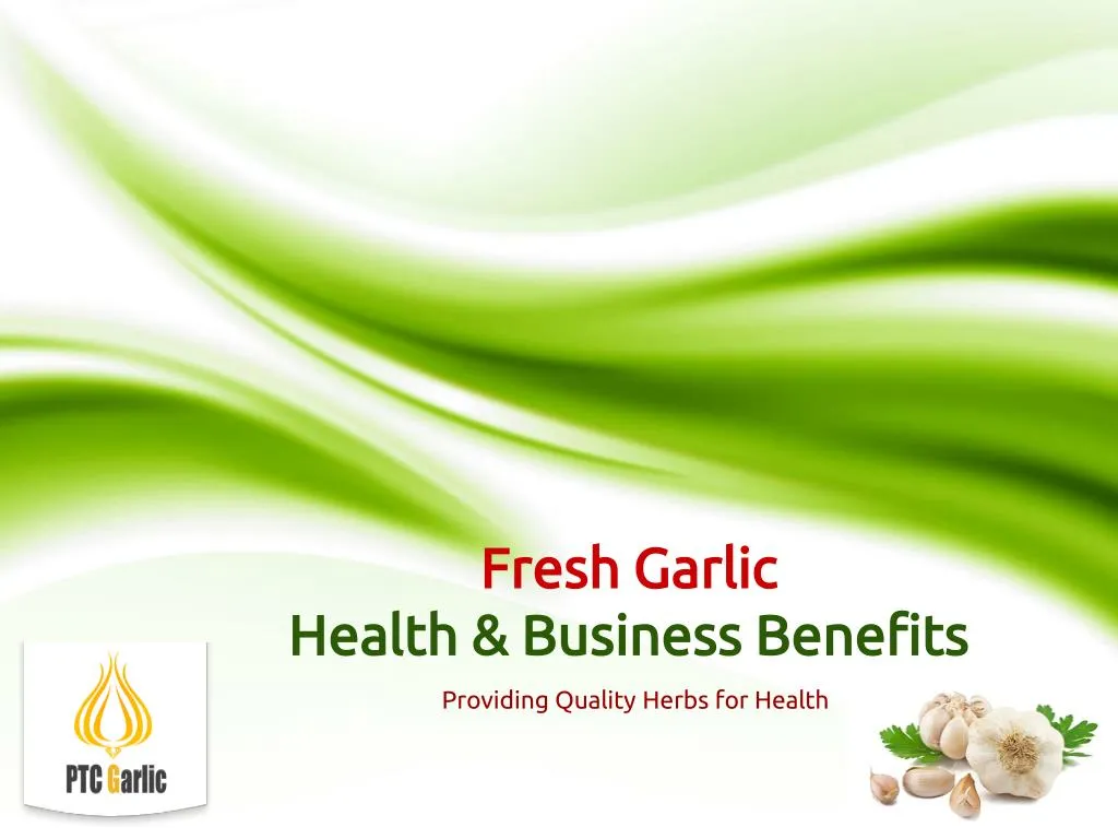 fresh garlic health business benefits n.