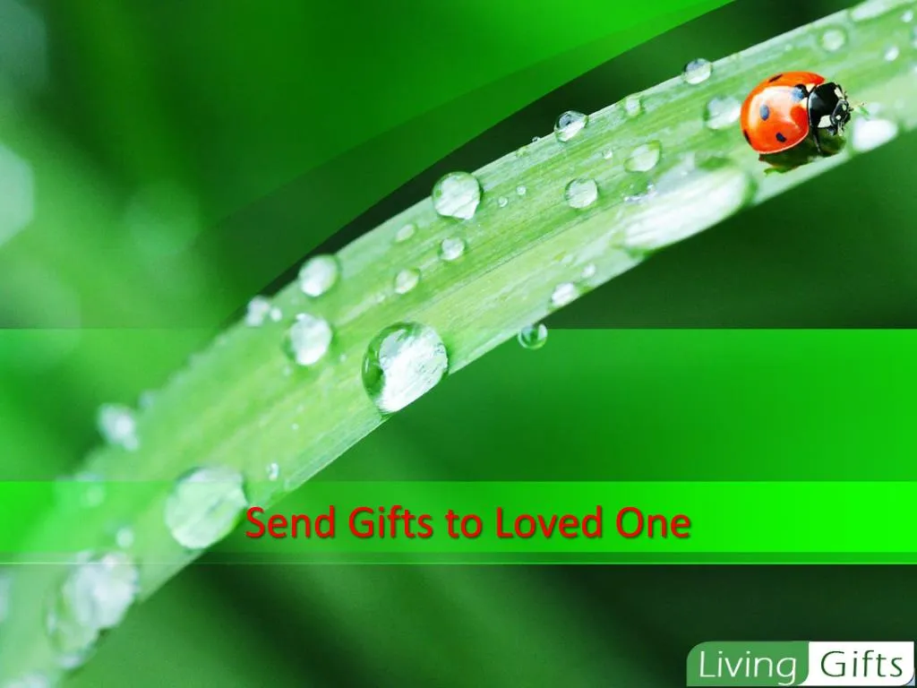 send gifts to loved one n.