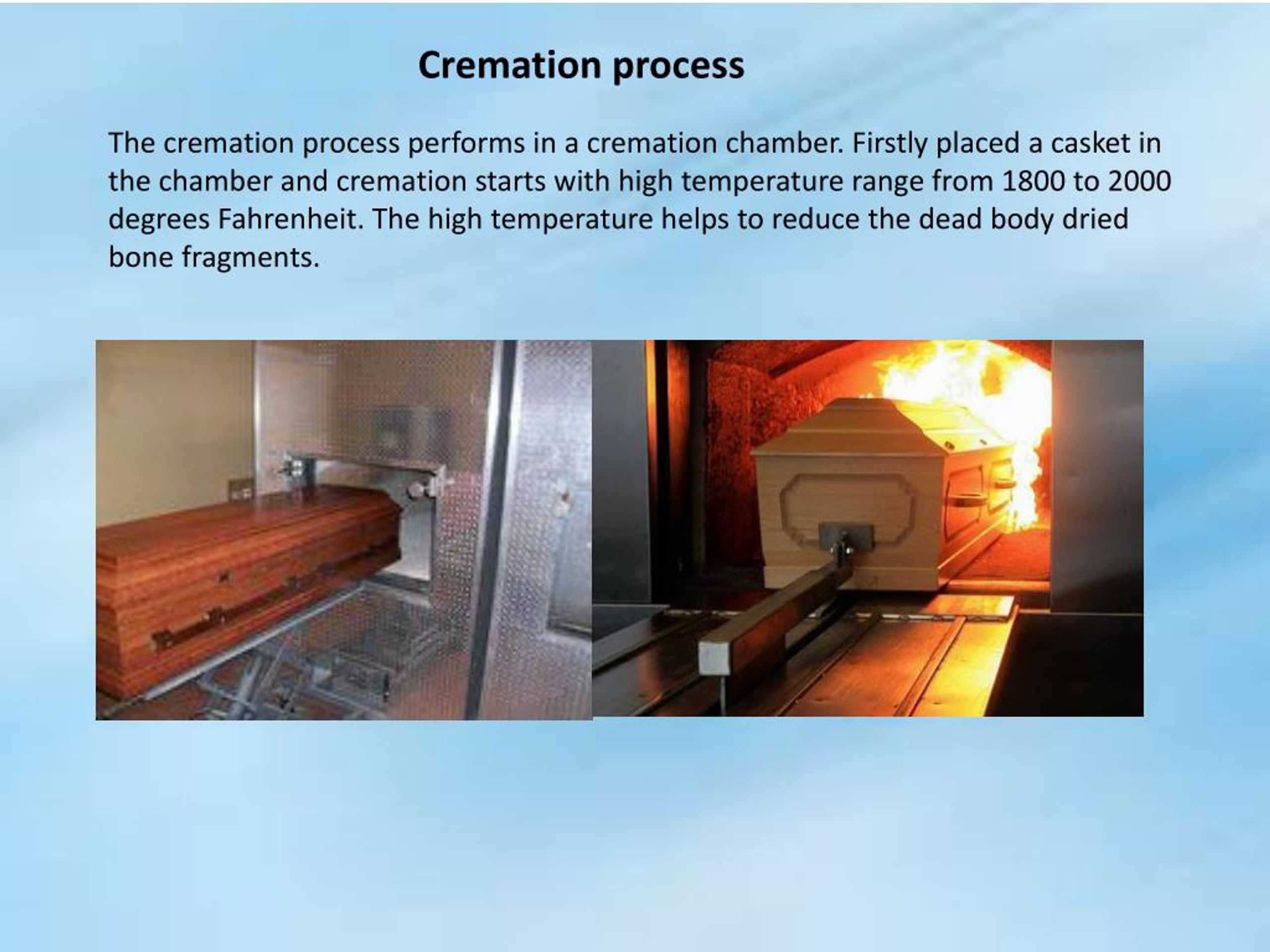 Ppt Steps For Cremation Process In Florida Powerpoint Presentation Free Download Id7166541 