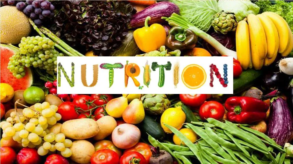 presentation of food and nutrition