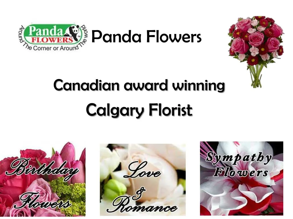 PPT Flowers Delivery Calgary Online at PandaFlowers PowerPoint