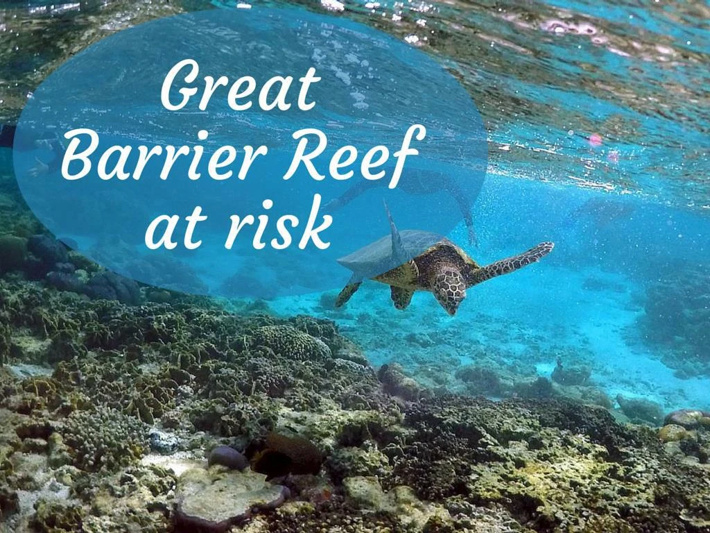 Ppt - Great Barrier Reef At Risk Powerpoint Presentation, Free Download 