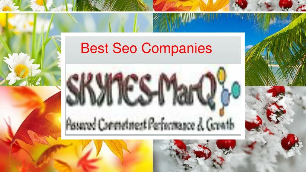 best seo companies n.