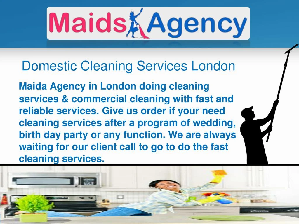 domestic cleaning agency