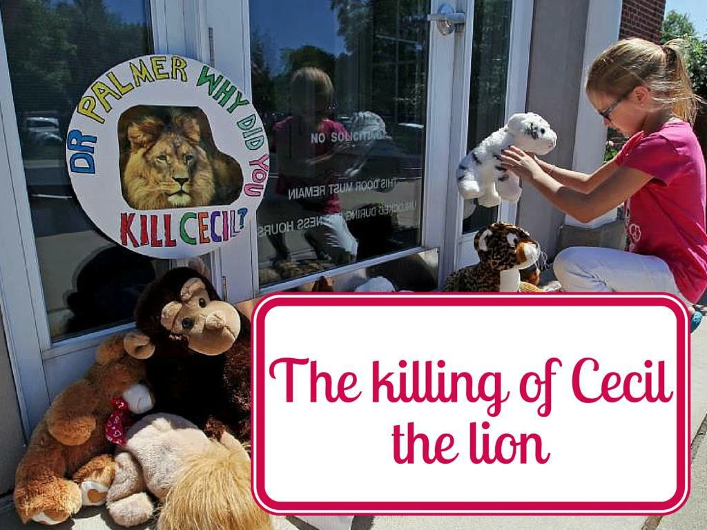 the killing of cecil the lion n.
