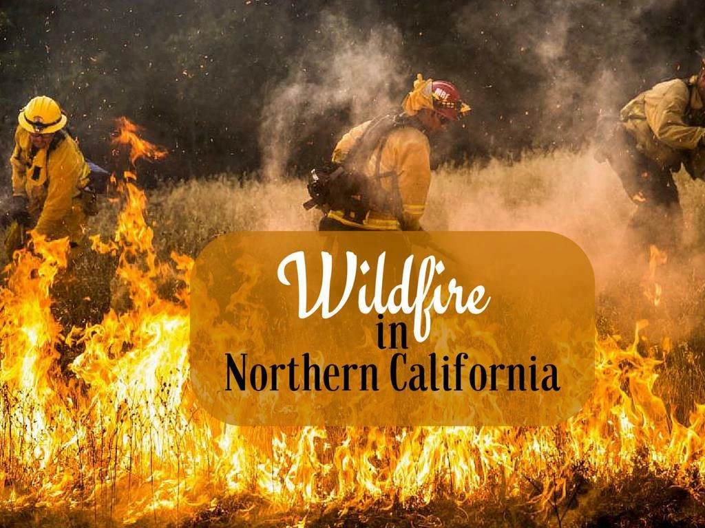 wildfire in northern california n.
